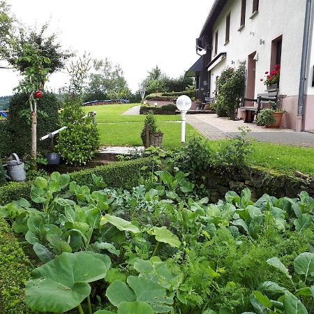 Ferienwohnung Huegelhaus Plutscheid Exterior photo